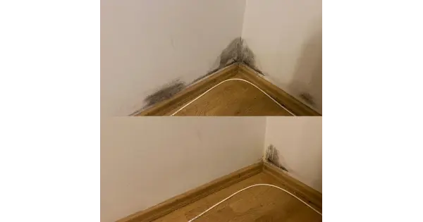 Zestaw Łazienkowy - usuwa kamień i pleśń NANOBAUER®
