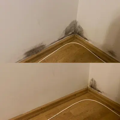 Zestaw Łazienkowy - usuwa kamień i pleśń NANOBAUER®