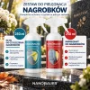 Zestaw płynu do mycia nagrobków i impregnat do nagrobków NANOBAUER